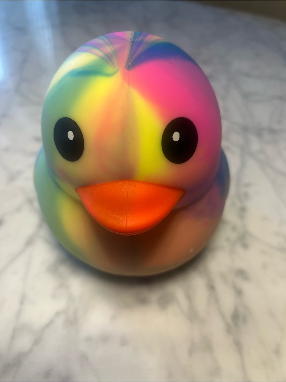Viral TikTok Rainbow Rubber Duck Squishy